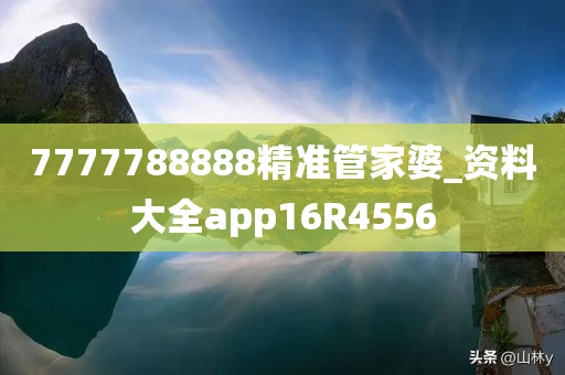 7777788888精准管家婆_资料大全app16R4556