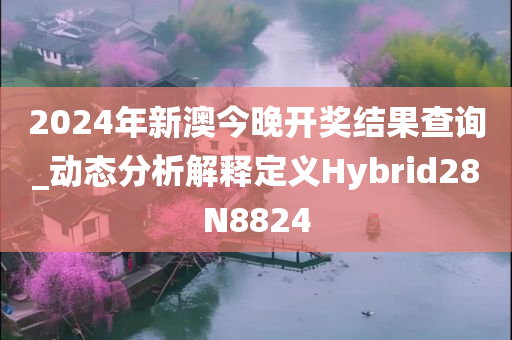 2024年新澳今晚开奖结果查询_动态分析解释定义Hybrid28N8824