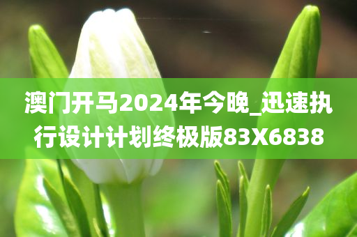 澳门开马2024年今晚_迅速执行设计计划终极版83X6838