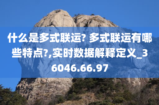 什么是多式联运? 多式联运有哪些特点?,实时数据解释定义_36046.66.97