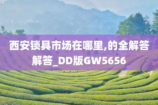 西安锁具市场在哪里,的全解答解答_DD版GW5656