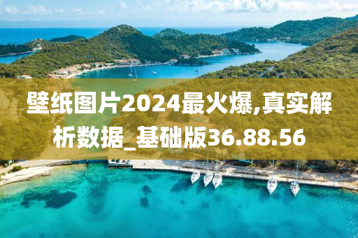 壁纸图片2024最火爆,真实解析数据_基础版36.88.56