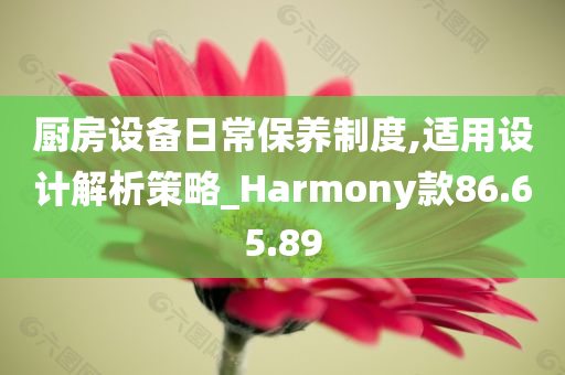 厨房设备日常保养制度,适用设计解析策略_Harmony款86.65.89