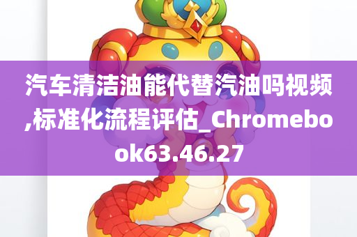 汽车清洁油能代替汽油吗视频,标准化流程评估_Chromebook63.46.27