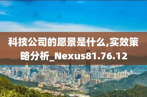 科技公司的愿景是什么,实效策略分析_Nexus81.76.12