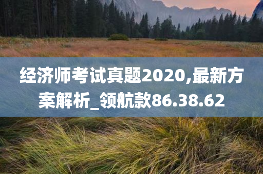 经济师考试真题2020,最新方案解析_领航款86.38.62