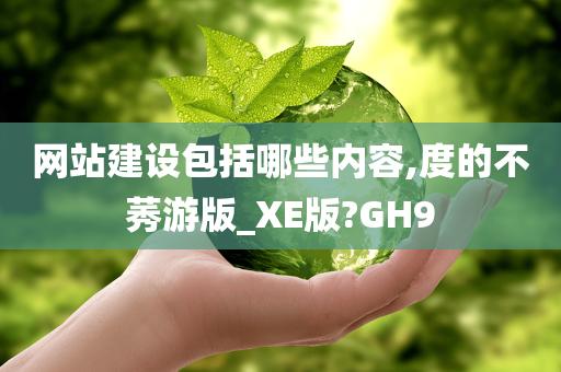 网站建设包括哪些内容,度的不莠游版_XE版?GH9