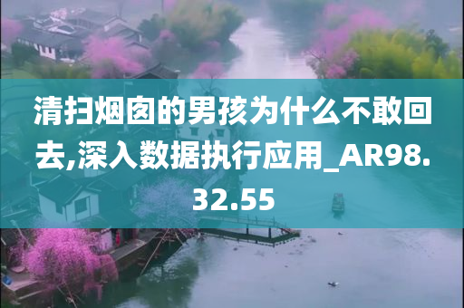 清扫烟囱的男孩为什么不敢回去,深入数据执行应用_AR98.32.55