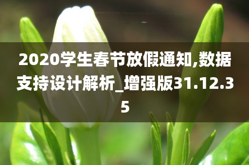 2020学生春节放假通知,数据支持设计解析_增强版31.12.35