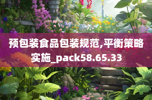 预包装食品包装规范,平衡策略实施_pack58.65.33