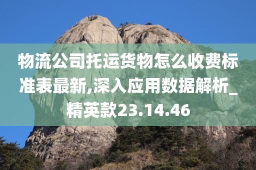 物流公司托运货物怎么收费标准表最新,深入应用数据解析_精英款23.14.46