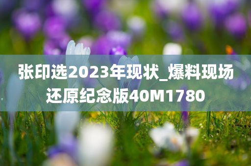 张印选2023年现状_爆料现场还原纪念版40M1780