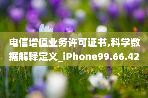 电信增值业务许可证书,科学数据解释定义_iPhone99.66.42