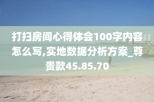 打扫房间心得体会100字内容怎么写,实地数据分析方案_尊贵款45.85.70