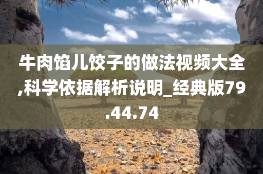 牛肉馅儿饺子的做法视频大全,科学依据解析说明_经典版79.44.74