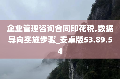 企业管理咨询合同印花税,数据导向实施步骤_安卓版53.89.54