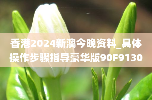 香港2024新澳今晚资料_具体操作步骤指导豪华版90F9130