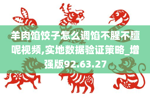 羊肉馅饺子怎么调馅不腥不膻呢视频,实地数据验证策略_增强版92.63.27