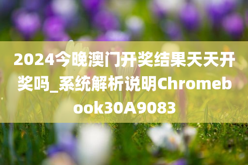 2024今晚澳门开奖结果天天开奖吗_系统解析说明Chromebook30A9083