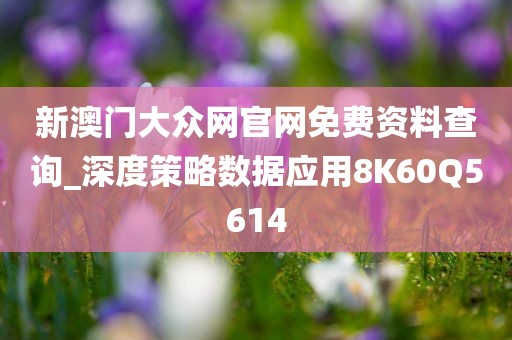 新澳门大众网官网免费资料查询_深度策略数据应用8K60Q5614