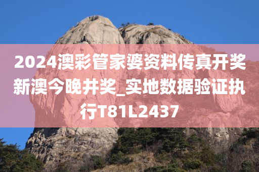 2024澳彩管家婆资料传真开奖新澳今晚井奖_实地数据验证执行T81L2437