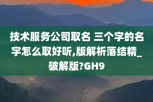 技术服务公司取名 三个字的名字怎么取好听,版解析落结精_破解版?GH9