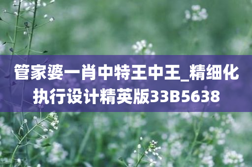 管家婆一肖中特王中王_精细化执行设计精英版33B5638