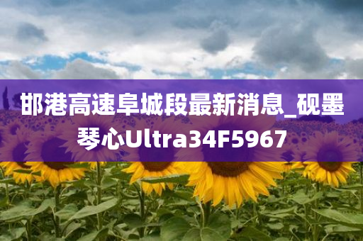 邯港高速阜城段最新消息_砚墨琴心Ultra34F5967