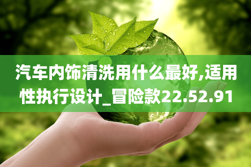 汽车内饰清洗用什么最好,适用性执行设计_冒险款22.52.91