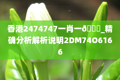 香港2474747一肖一🐎_精确分析解析说明2DM74O6166