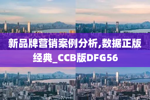 新品牌营销案例分析,数据正版经典_CCB版DFG56