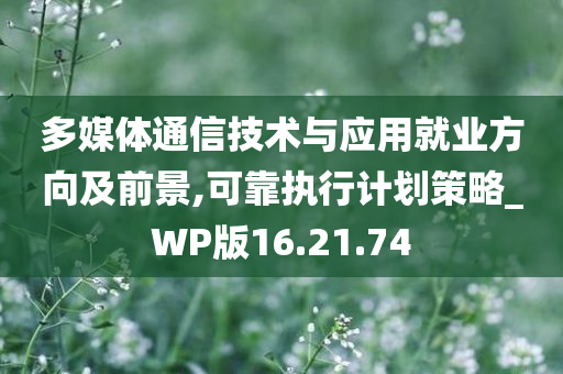 多媒体通信技术与应用就业方向及前景,可靠执行计划策略_WP版16.21.74