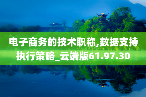 电子商务的技术职称,数据支持执行策略_云端版61.97.30