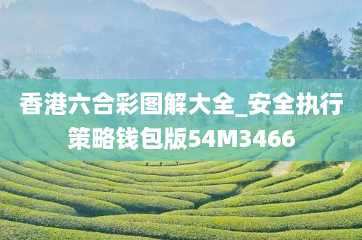 香港六合彩图解大全_安全执行策略钱包版54M3466