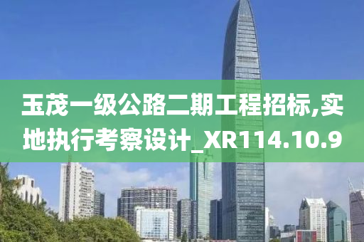 玉茂一级公路二期工程招标,实地执行考察设计_XR114.10.90