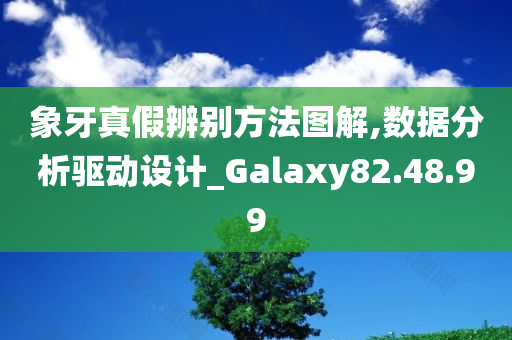 象牙真假辨别方法图解,数据分析驱动设计_Galaxy82.48.99