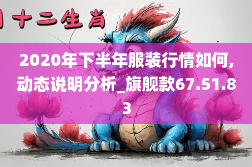 2020年下半年服装行情如何,动态说明分析_旗舰款67.51.83