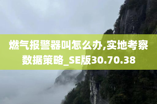 燃气报警器叫怎么办,实地考察数据策略_SE版30.70.38