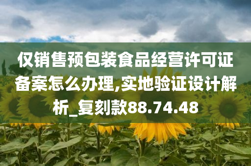 仅销售预包装食品经营许可证备案怎么办理,实地验证设计解析_复刻款88.74.48