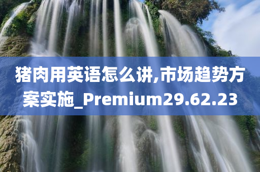 猪肉用英语怎么讲,市场趋势方案实施_Premium29.62.23