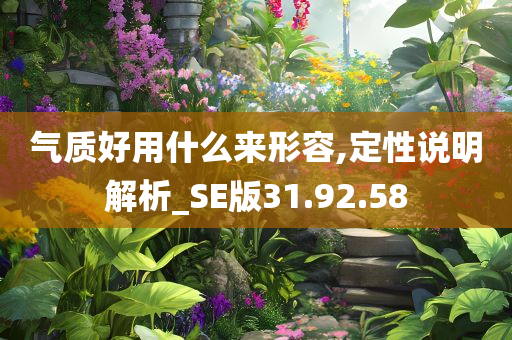 气质好用什么来形容,定性说明解析_SE版31.92.58