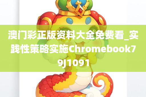 澳门彩正版资料大全免费看_实践性策略实施Chromebook79J1091