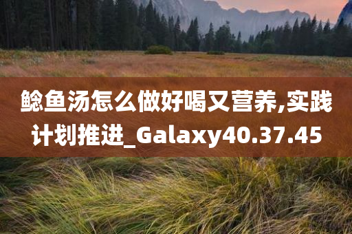 鲶鱼汤怎么做好喝又营养,实践计划推进_Galaxy40.37.45