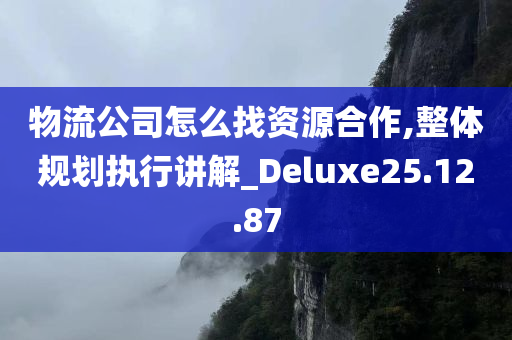 物流公司怎么找资源合作,整体规划执行讲解_Deluxe25.12.87