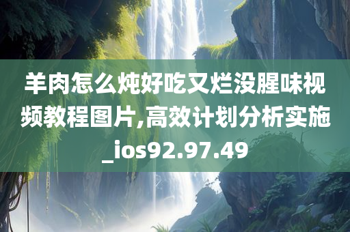 羊肉怎么炖好吃又烂没腥味视频教程图片,高效计划分析实施_ios92.97.49