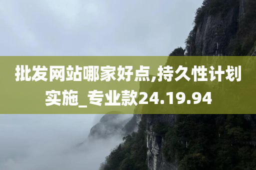 批发网站哪家好点,持久性计划实施_专业款24.19.94