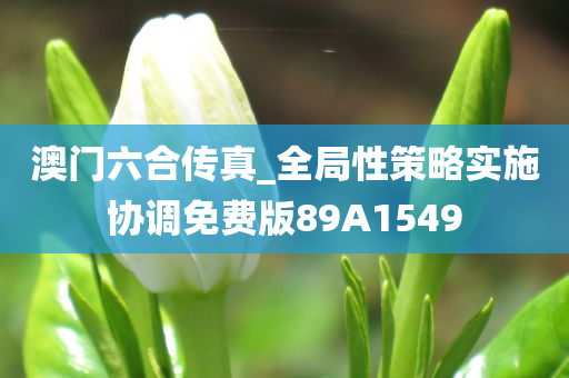 澳门六合传真_全局性策略实施协调免费版89A1549