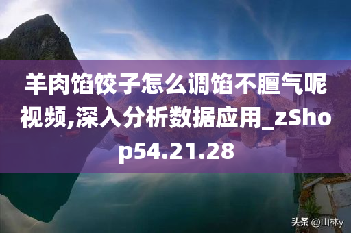 羊肉馅饺子怎么调馅不膻气呢视频,深入分析数据应用_zShop54.21.28