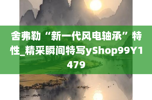 舍弗勒“新一代风电轴承”特性_精采瞬间特写yShop99Y1479