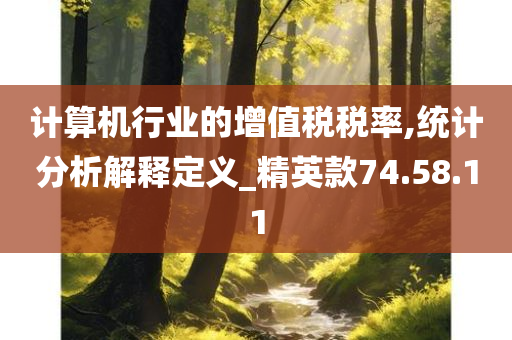 计算机行业的增值税税率,统计分析解释定义_精英款74.58.11